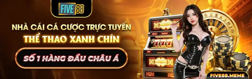 Tổng quan các điều khoản dịch vụ của 888new10